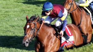2025 QEII Challenge Cup Stakes, Keeneland, Lush Lips